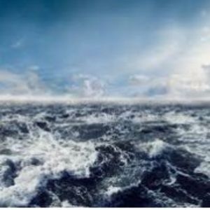 Meet your Posher, Lillian